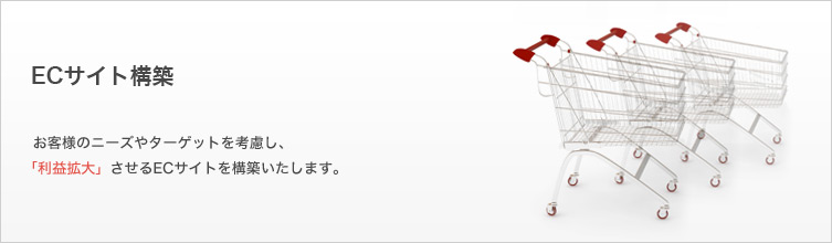 ECサイト構築