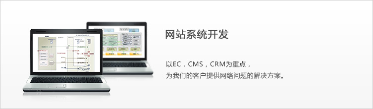 ウェブシステム開発